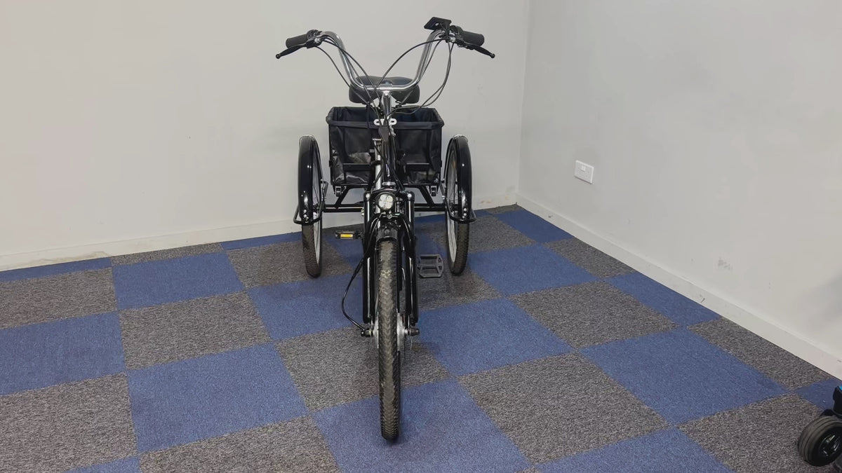 Electric Tricycle Lithium Battery Fully Automatic Black